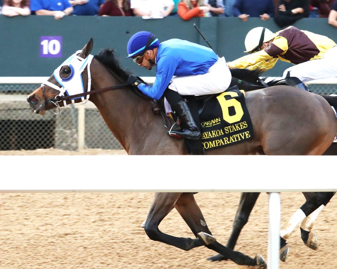 Comparative wins Bayakoa at OP Feb 2 2024