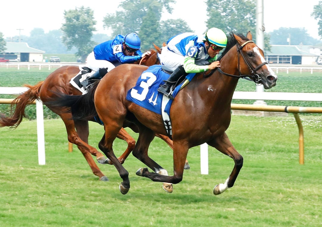 Daring Do wins Pea Patch at ELP July 16 2023