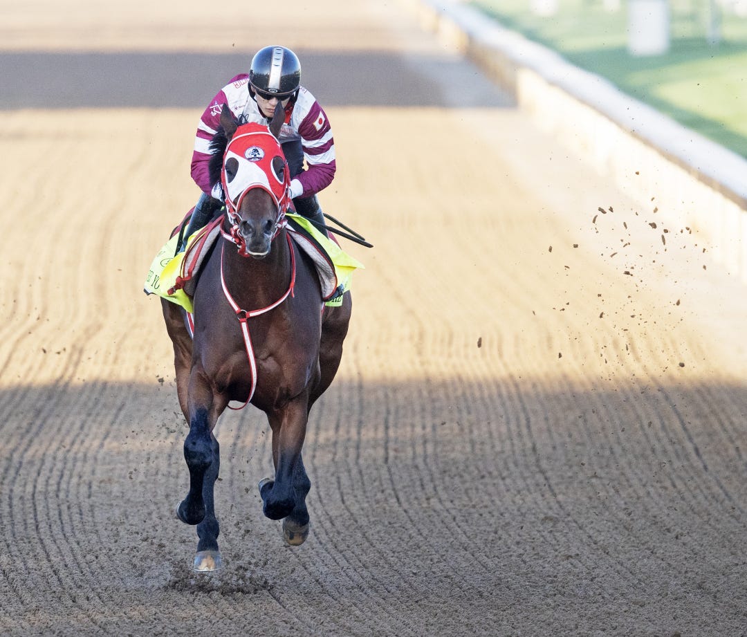 Forever Young works at CD April 24 2024