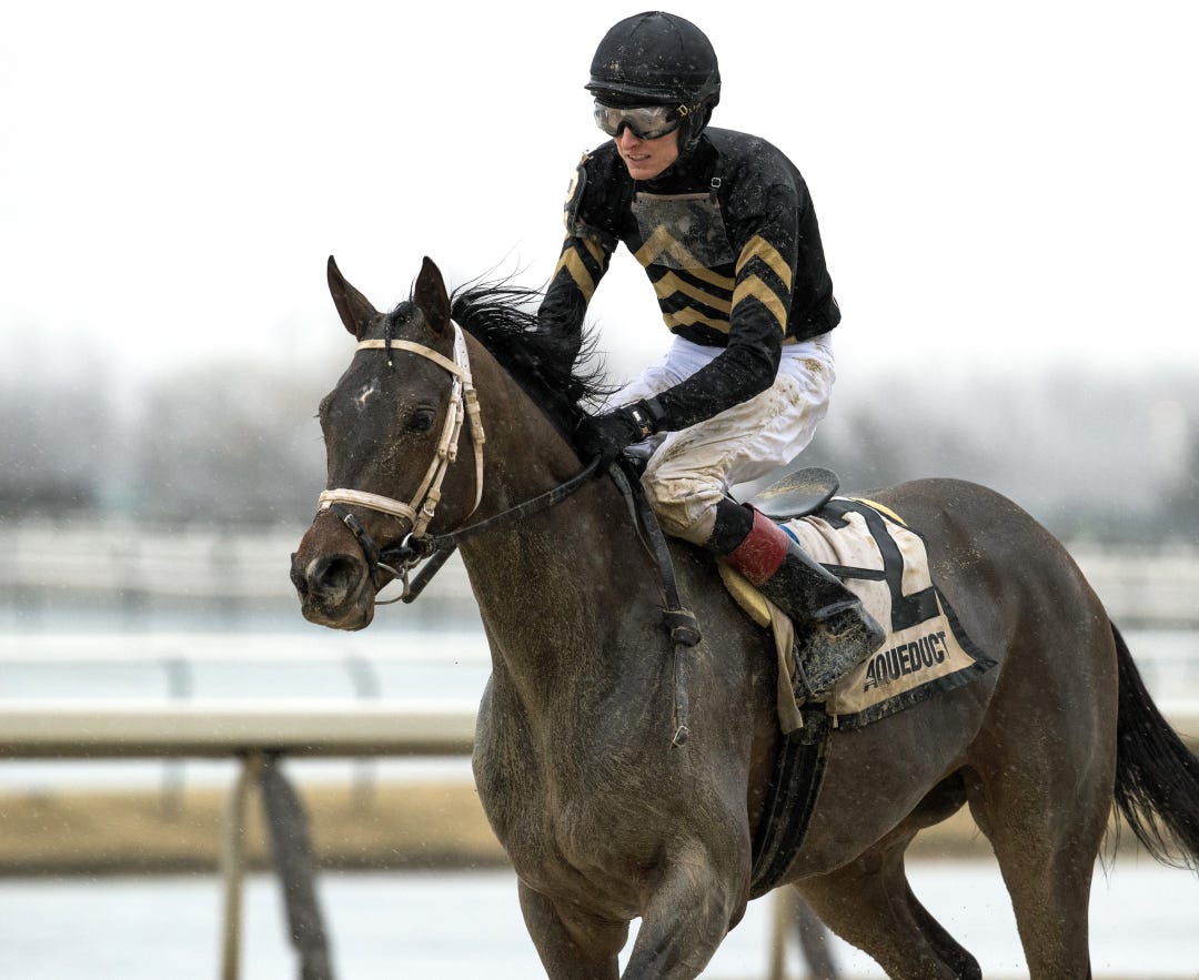 Gin Gin at AQU March 2 2024