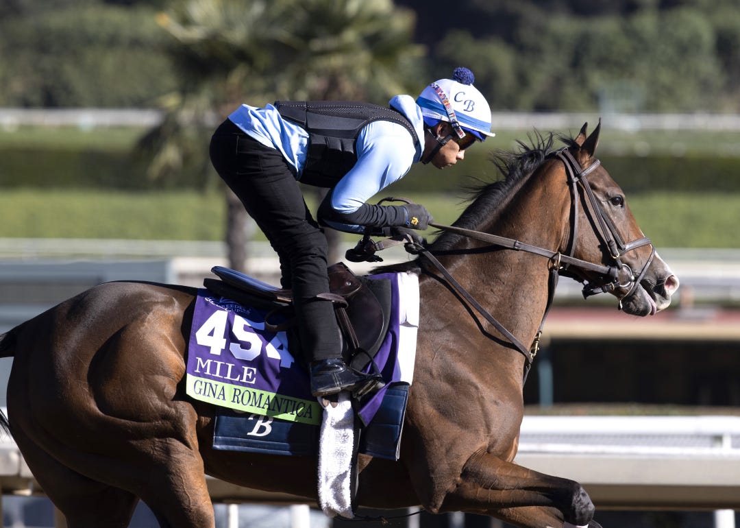 Gina Romantica trains at KEE Oct 31 2023