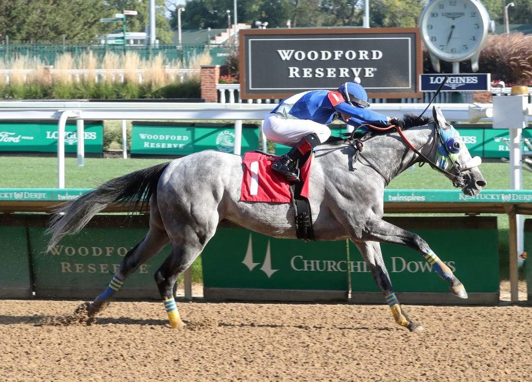 Koufax wins at CD Sept 14 2023
