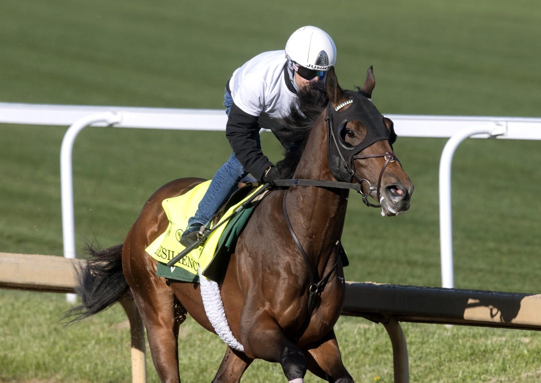 Resilience works at CD April 22 2024