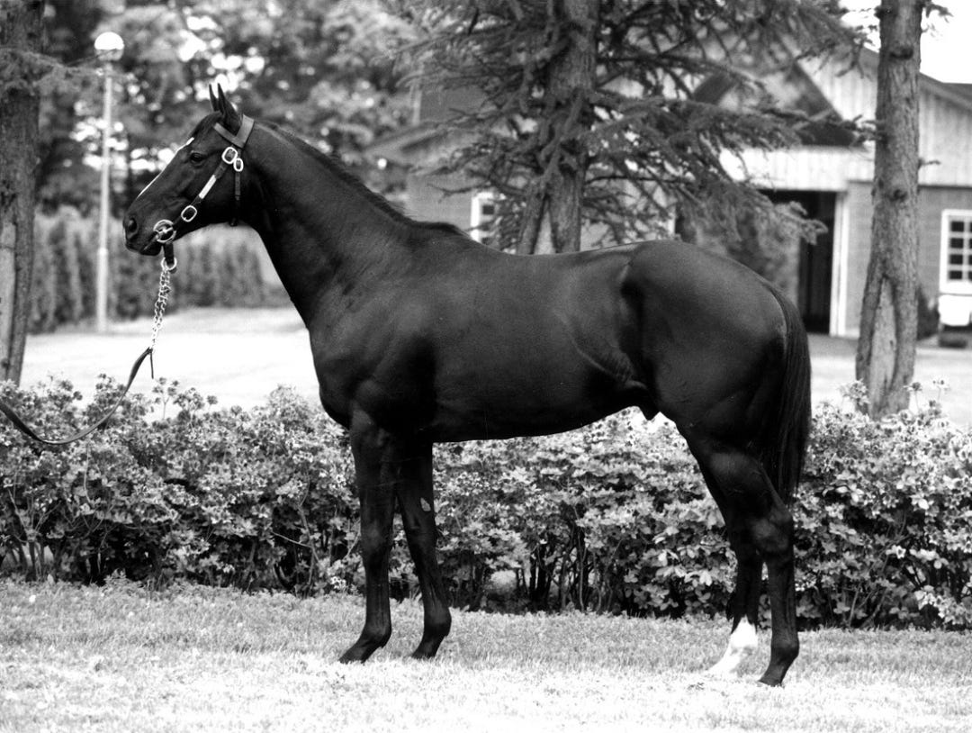 Sunday Silence/Japan