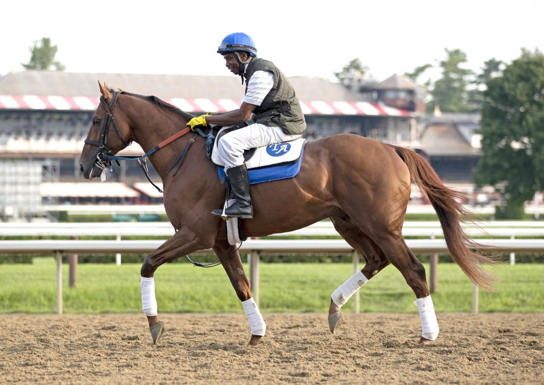 Sadler's Joy at SAR Aug 5 2021