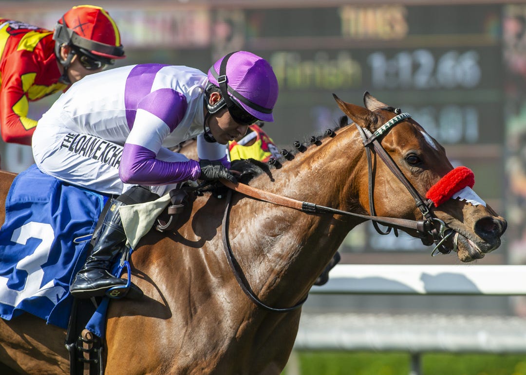 Stay and Scam wins Irish O'Brien at SA March 17 2024