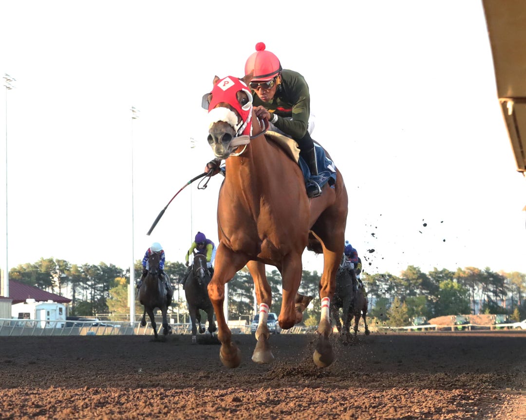 Thealligatorhunter wins the Wally's Choice at CBY Aug 12 2023