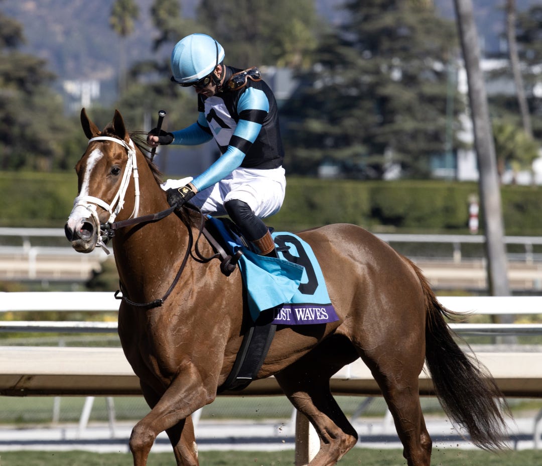 Amidst Waves at Breeders' Cup at SA Nov 3 2023
