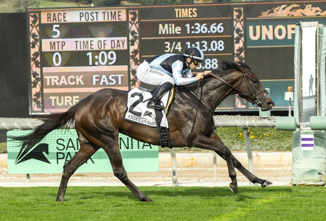 Anisette wins American Oaks at SA Dec 26 2024