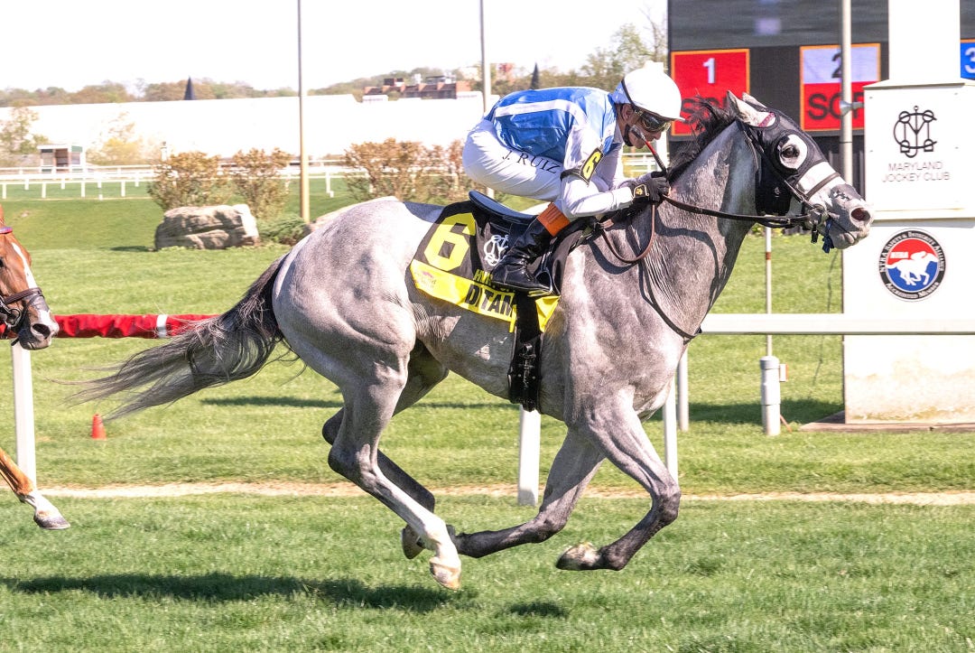 Dataman wins Henry Clark at LRL April 20 2024