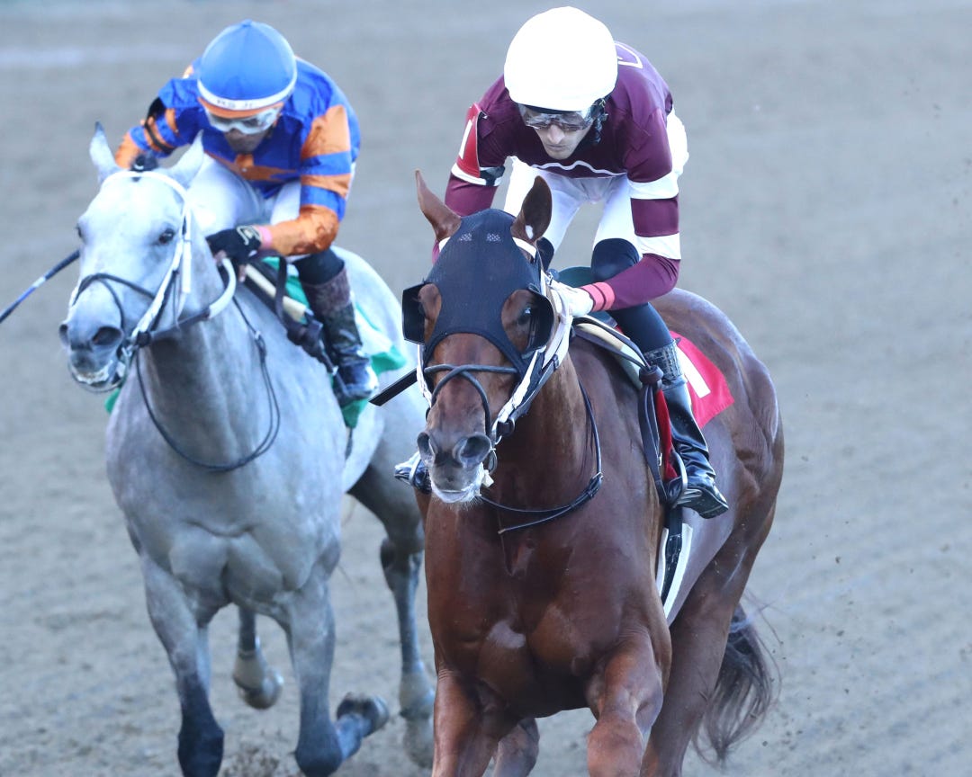 Disarm wins at CD May 18 2024