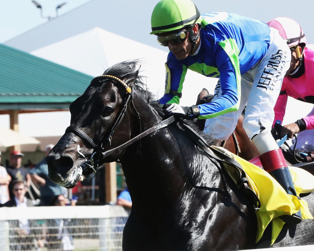 Dominican Pioneer wins at KD Sept 13 2023