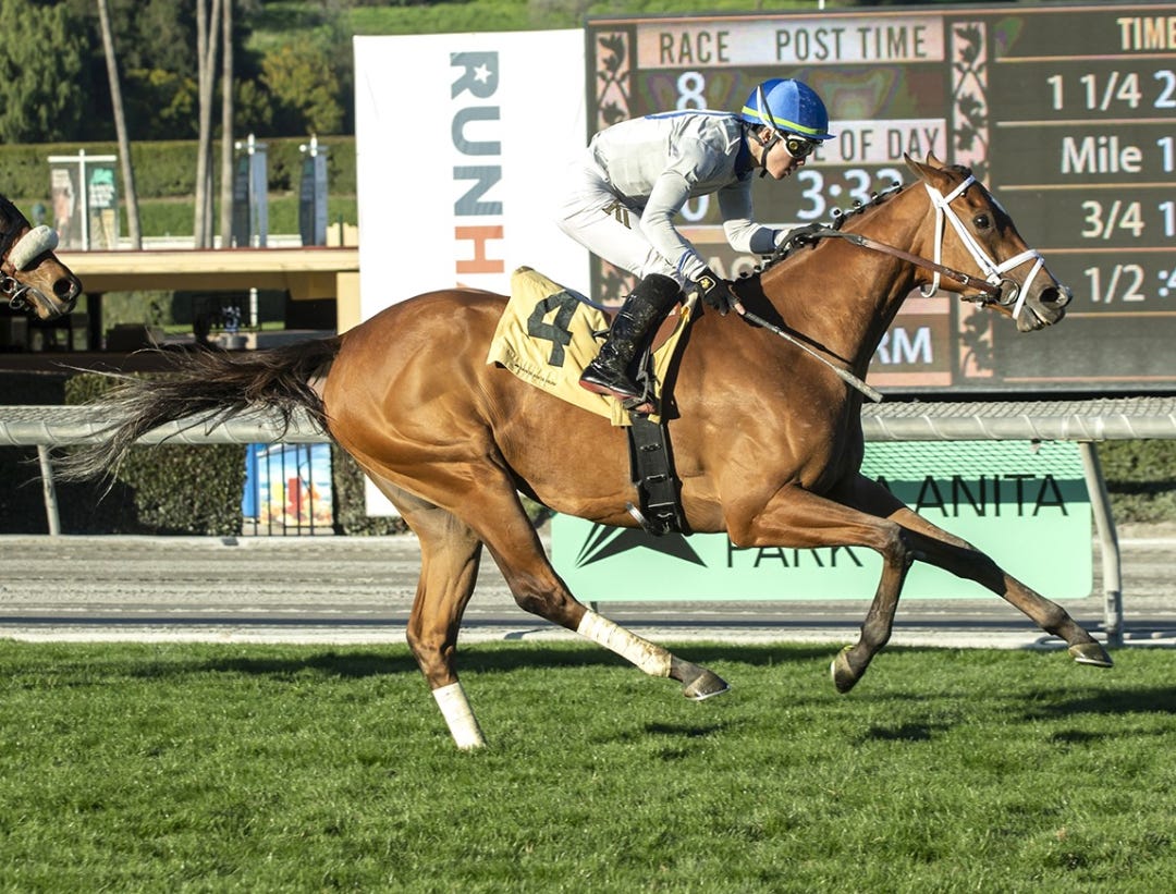 Duvet Day wins the Astra Stakes at SA Jan 21 2023