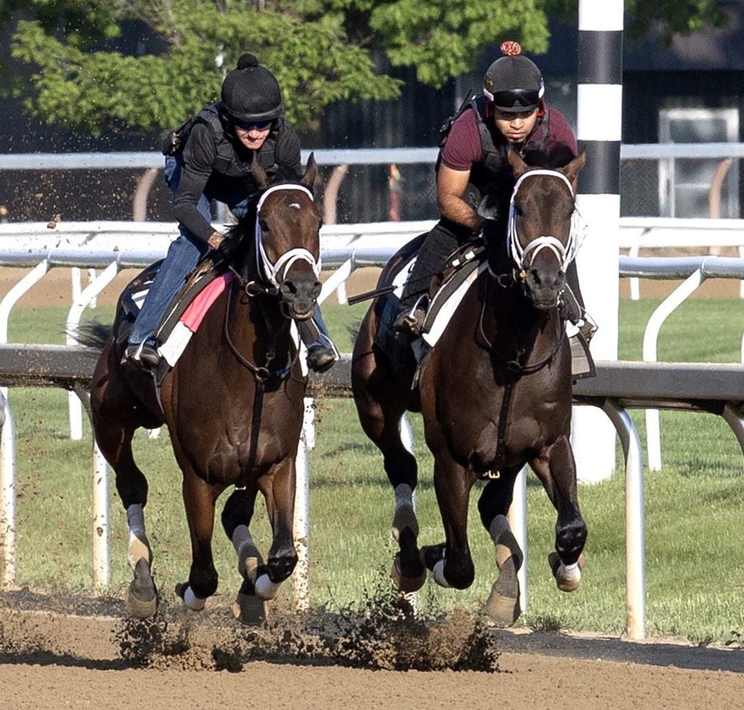 Fierceness (left) and Mindframe work at SAR May 24 2024