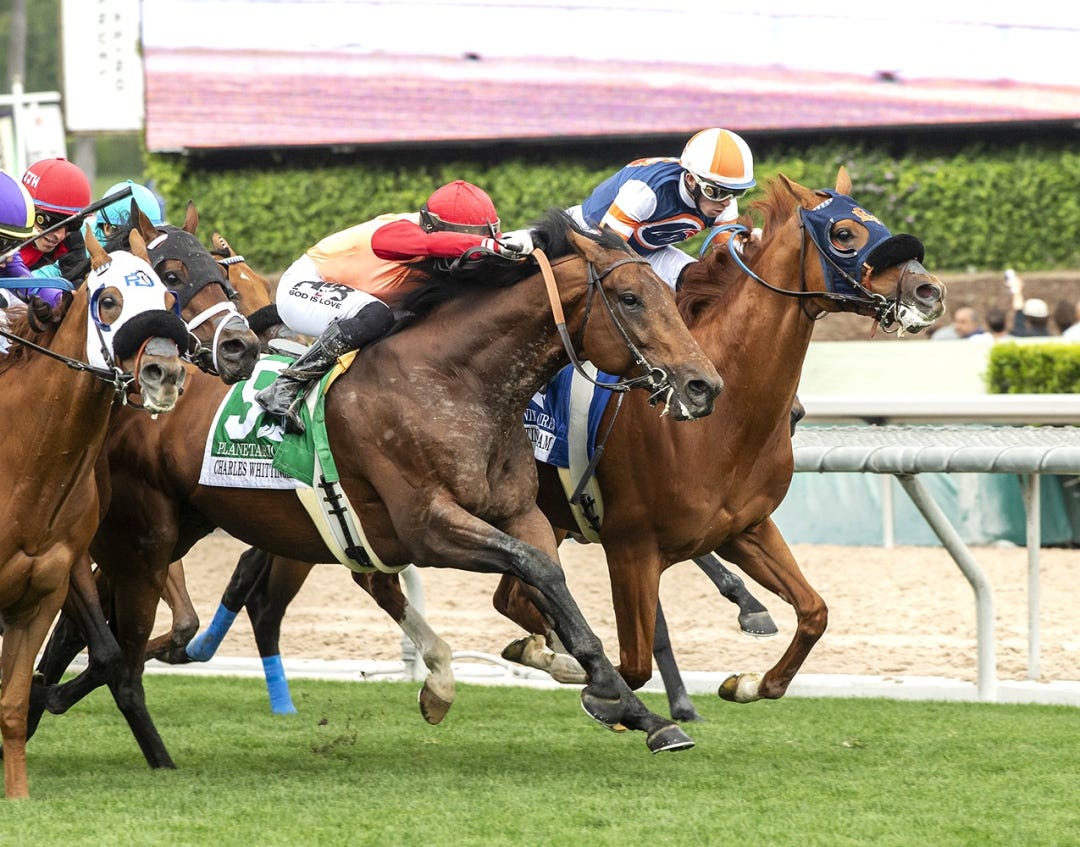 Gold Phoenix (right) wins Whittingham at SA May 4 2024