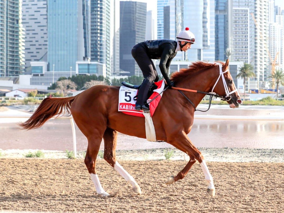 Kabirkhan trains at Meydan March 27 2024