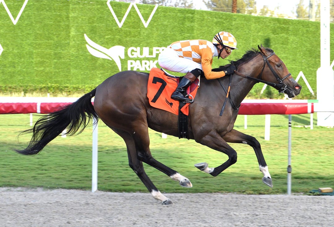Karaya wins at GP March 7 2024