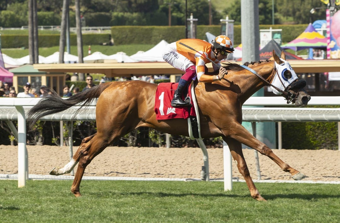 King of Gosford wins John Shear Mile at SA April 7 2024