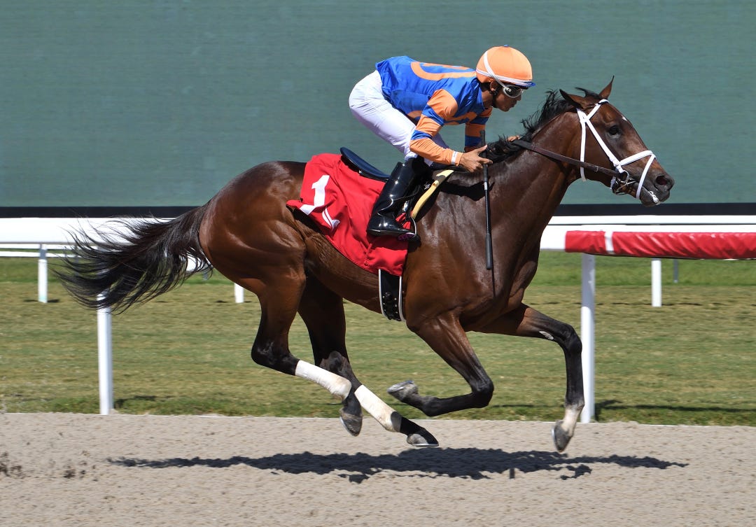 Quester wins maiden race at GP April 19 2024
