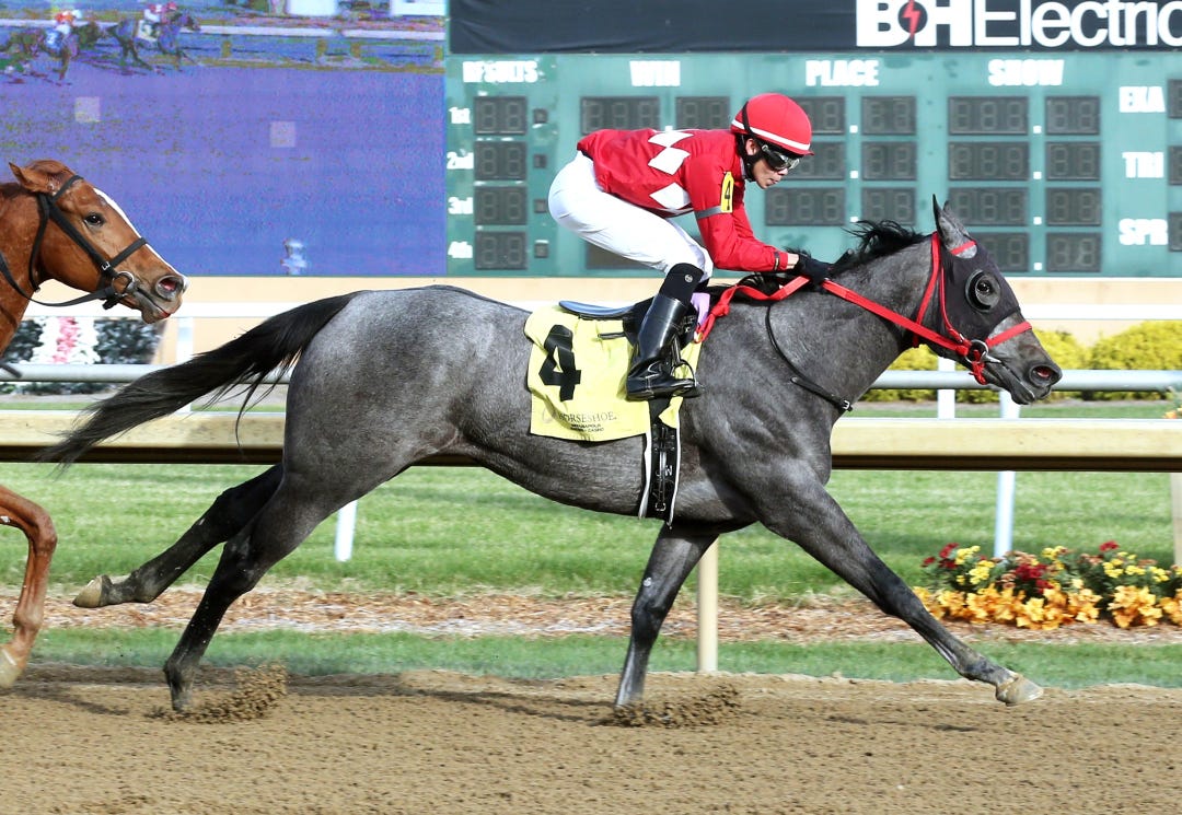 Quimichis wins maiden at Horseshoe Indianapolis Nov 9 2023