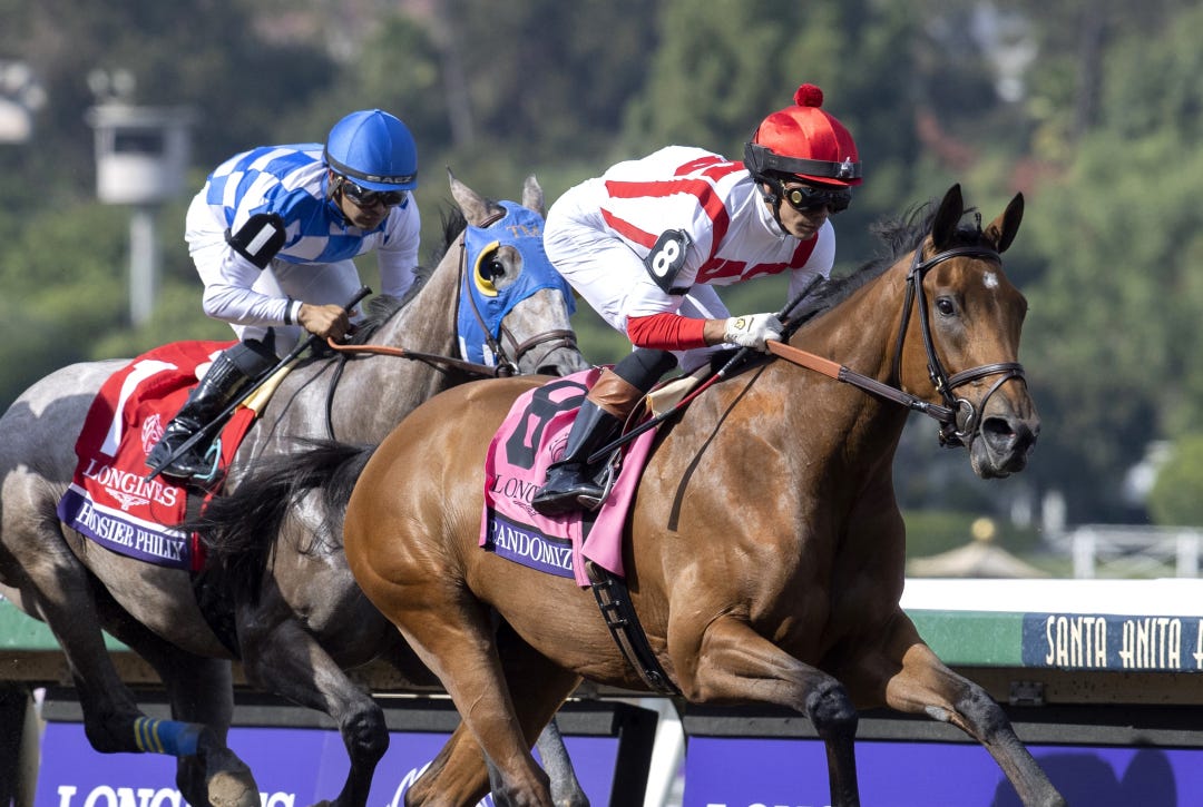 Randomized during BC Distaff at SA Nov 4 2023