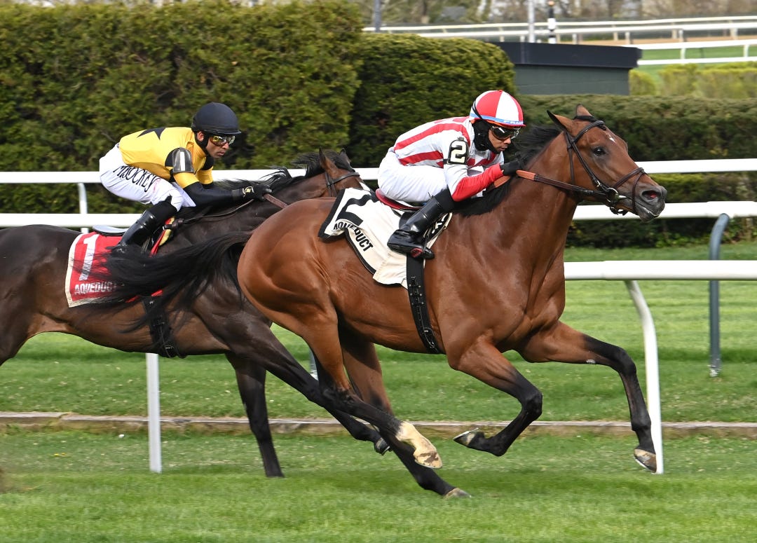 Risk Tolerance wins maiden at AQU April 21 2024