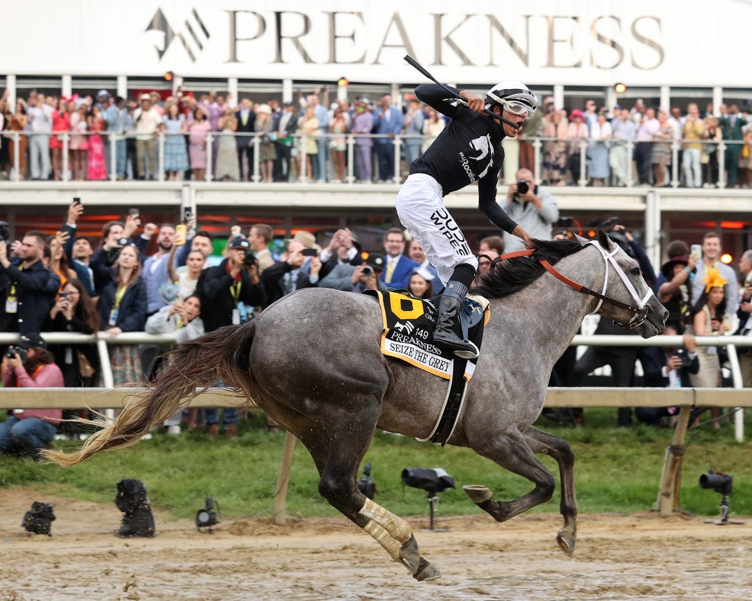 Seize the Grey wins Preakness May 18 2024