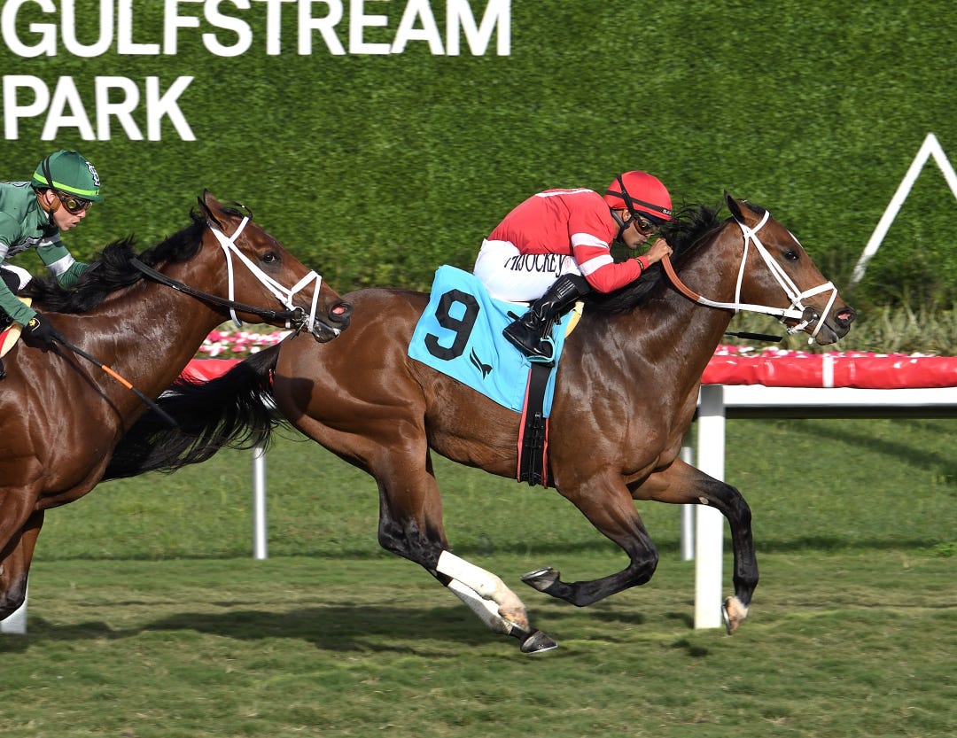 Themanupfront wins maiden at GP Feb 29 2024