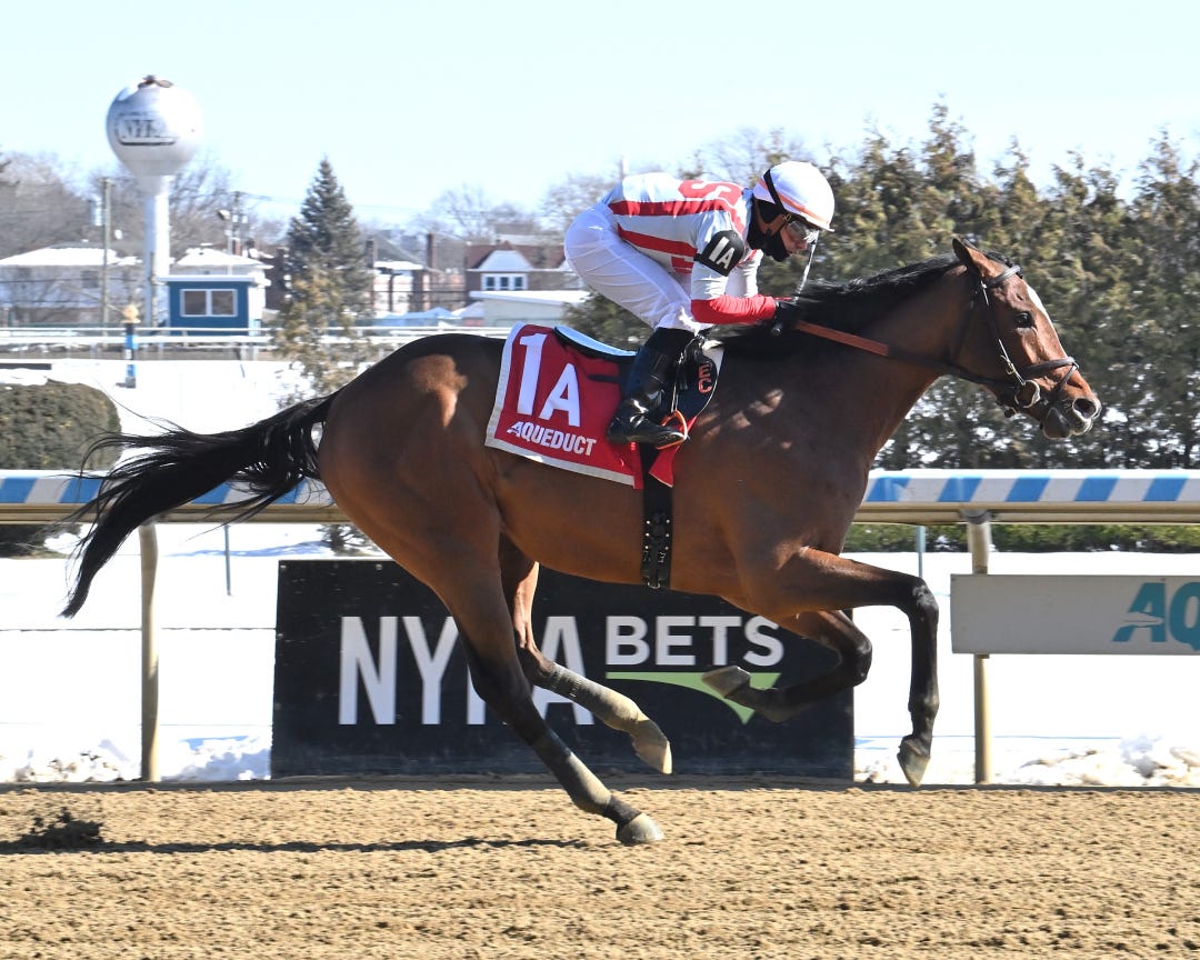Unique Insight wins maiden at AQU Feb 18 2024