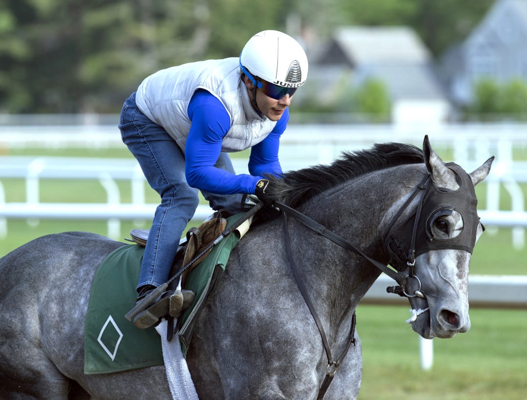 Batten Down works at SAR June 3 2024