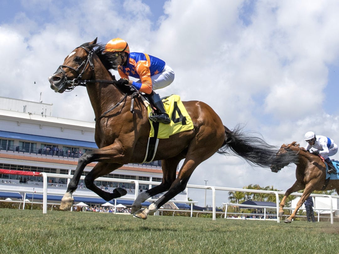 Behind Enemy Lines wins Cutler Bay at GP April 1 2023