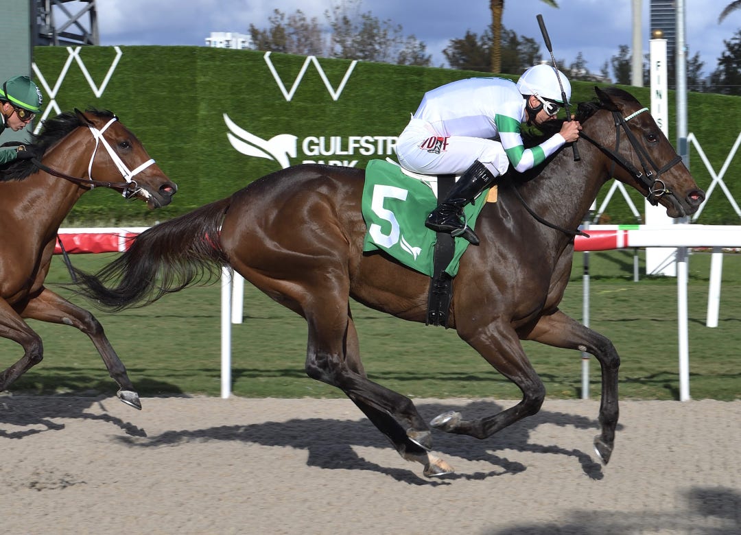 Curlin's Girl wins maiden at GP March 24 2024