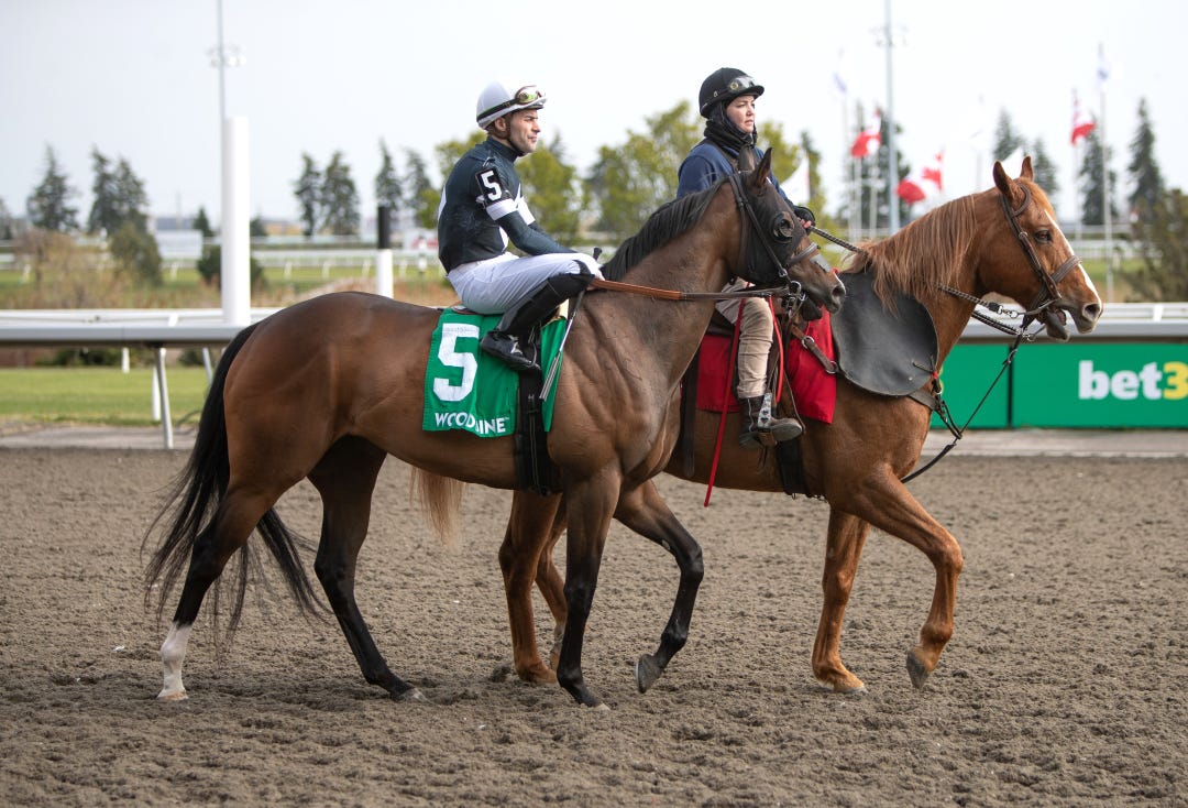 Dancing Duchess at Woodbine April 27 2024