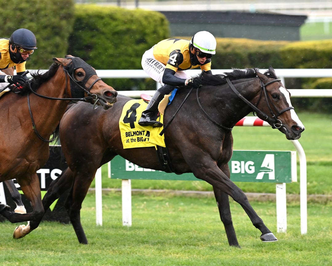 Dontlookbackatall wins License Fee at AQU May 5 2024