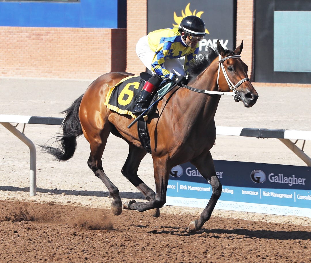 Flying Connection wins Harry Henson Handicap at SUN Feb 18 2024