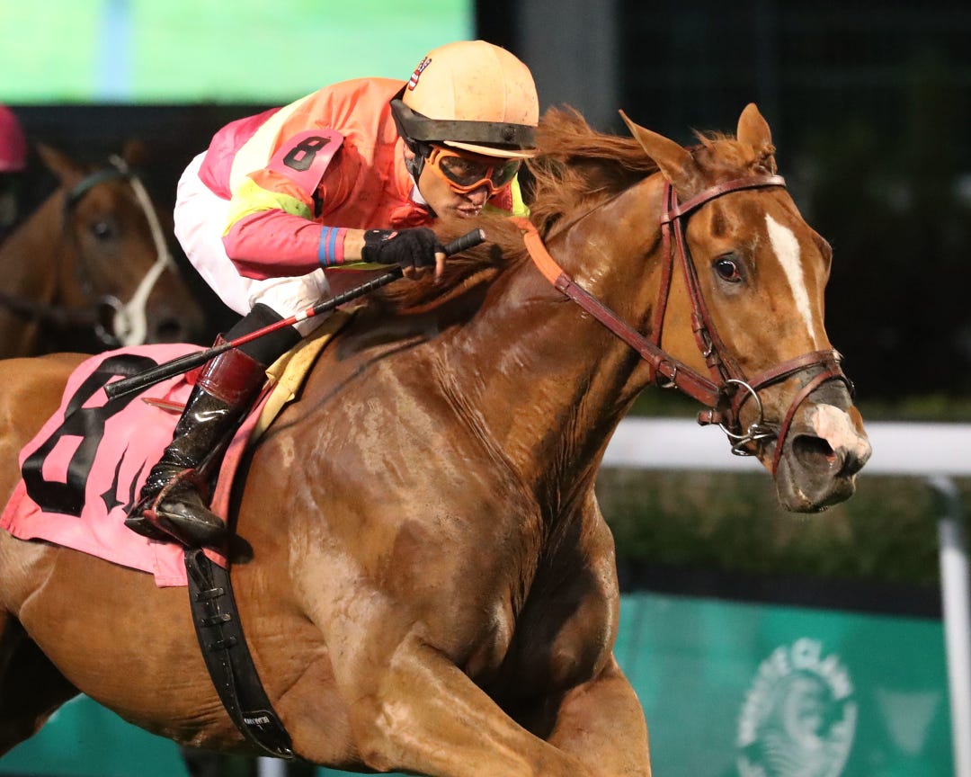 Highway Robber wins at CD May 18 2024