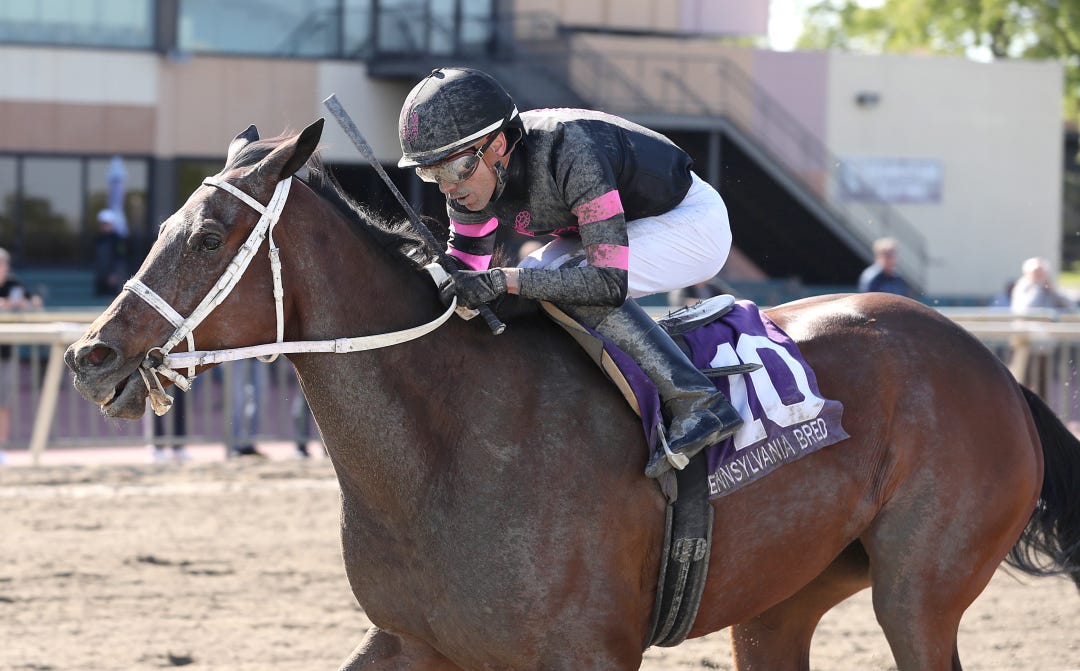 Morning Matcha wins the Unique Bella at PRX April 22 2024