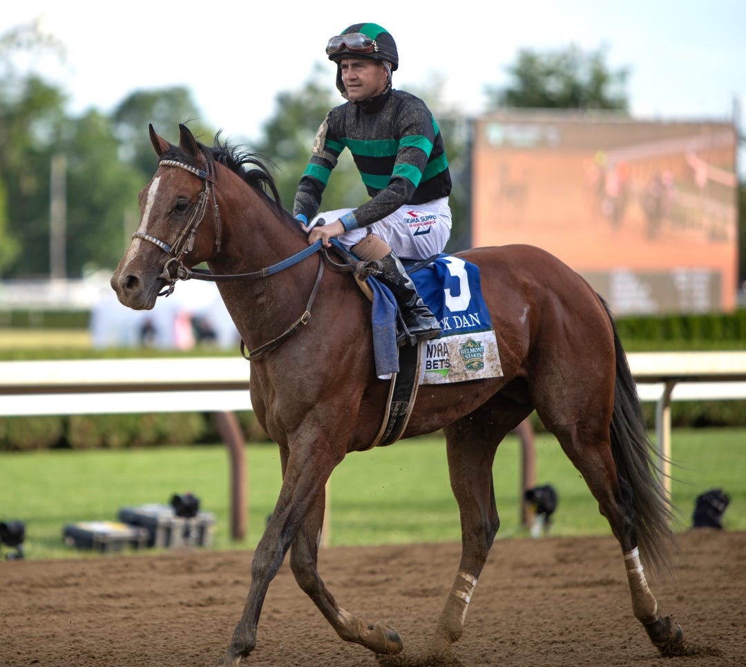 Mystik Dan on Belmont Stakes Day at SAR June 8 2024