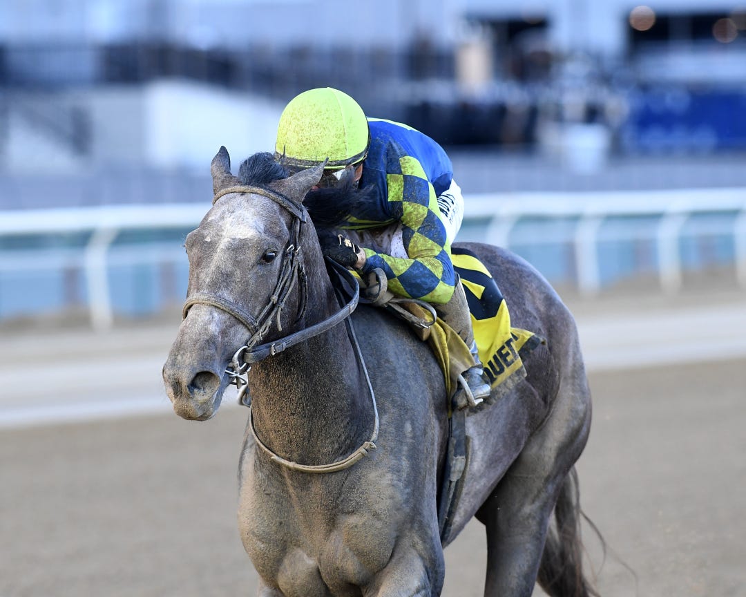 Pandagate wins the Gander at AQU Feb 25 2024