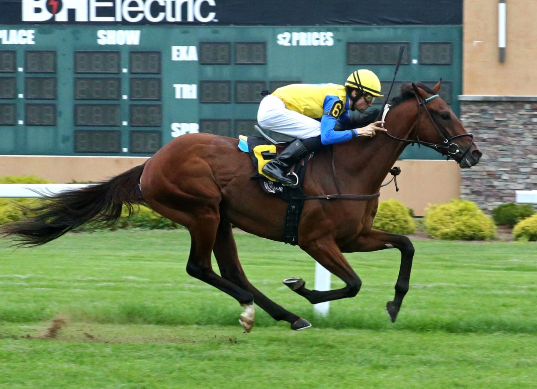 Point Proven wins at IND Aug 17 2023