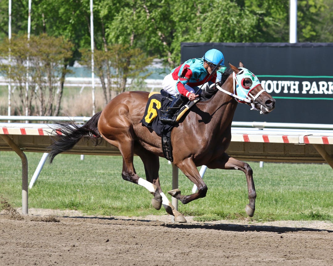 Sea Streak/Long Branch Stakes