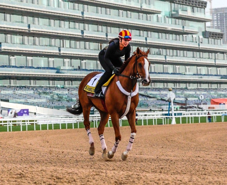 Sibelius at Meydan March 25 2024