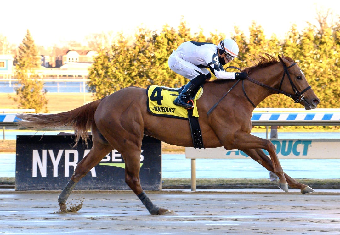 The Big Torpedo wins maiden at AQU Jan 13 2024