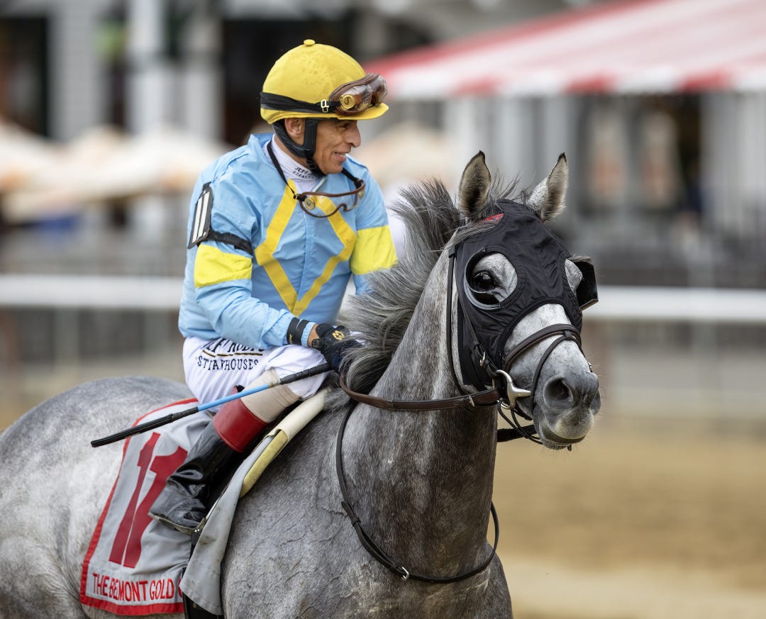 The Grey Wizard at SAR June 6 2024