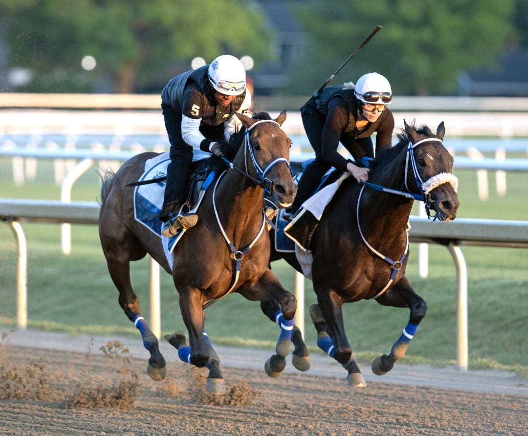 Thorpedo Anna (left) works with Midnight Concerto at SAR June 1 2024