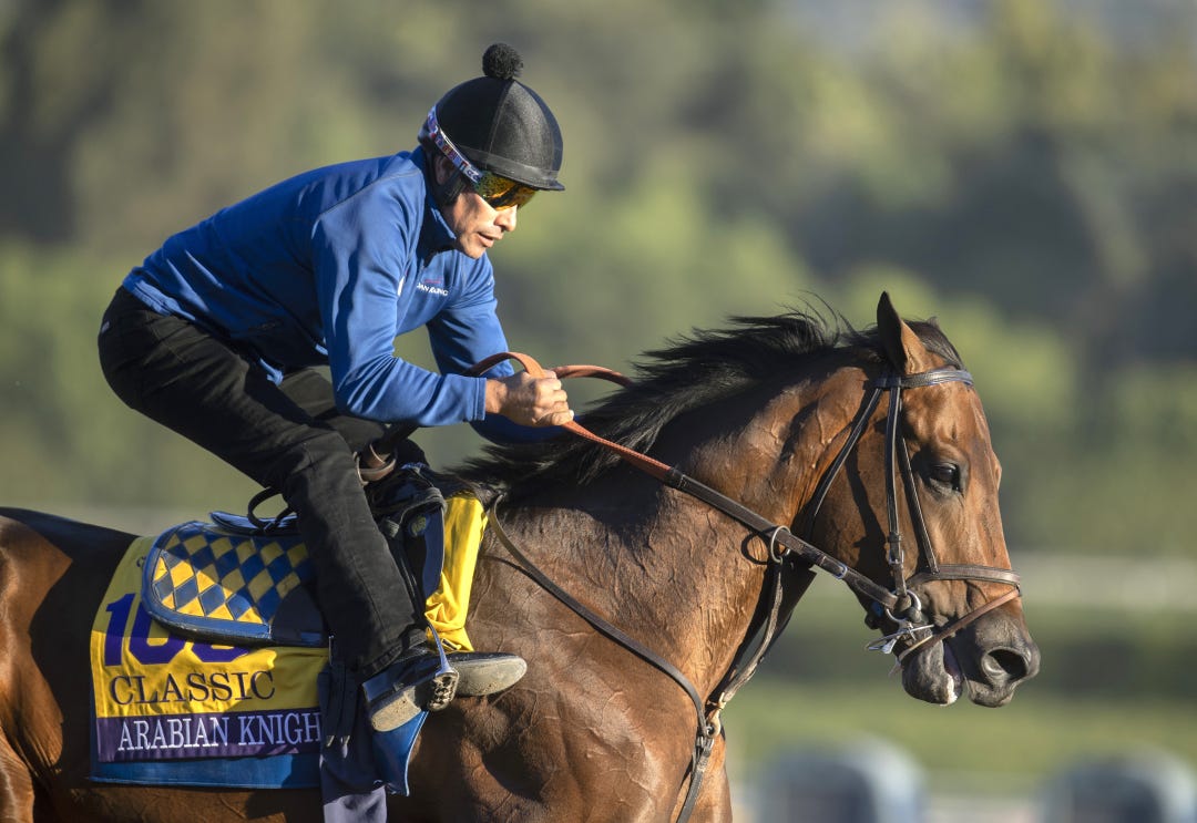 Arabian Knight trains at SA Nov 2 2023