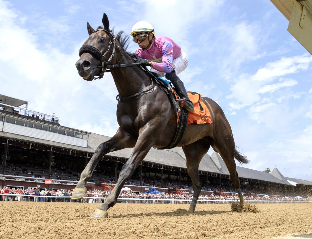 Bellacose wins debut at SAR July 17 2024