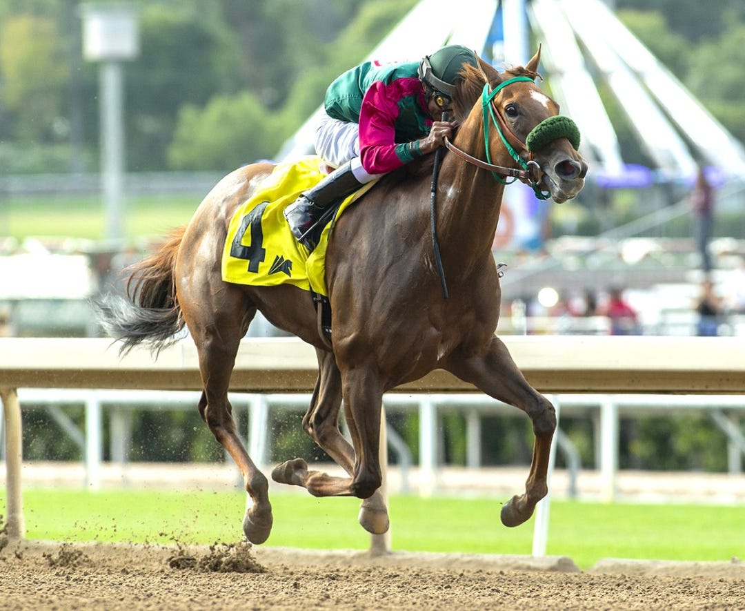 Grand Slam Smile wins Melair at SA May 25 2024