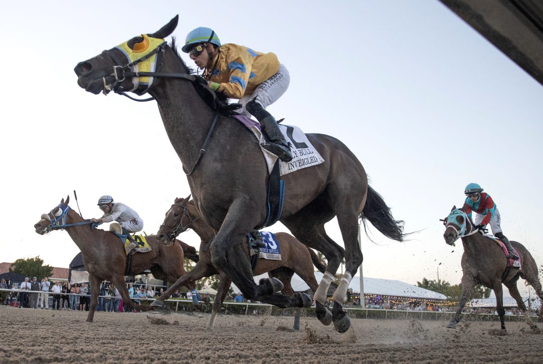 Inveigled - not winner - during Holy Bull at GP Feb 3 2024