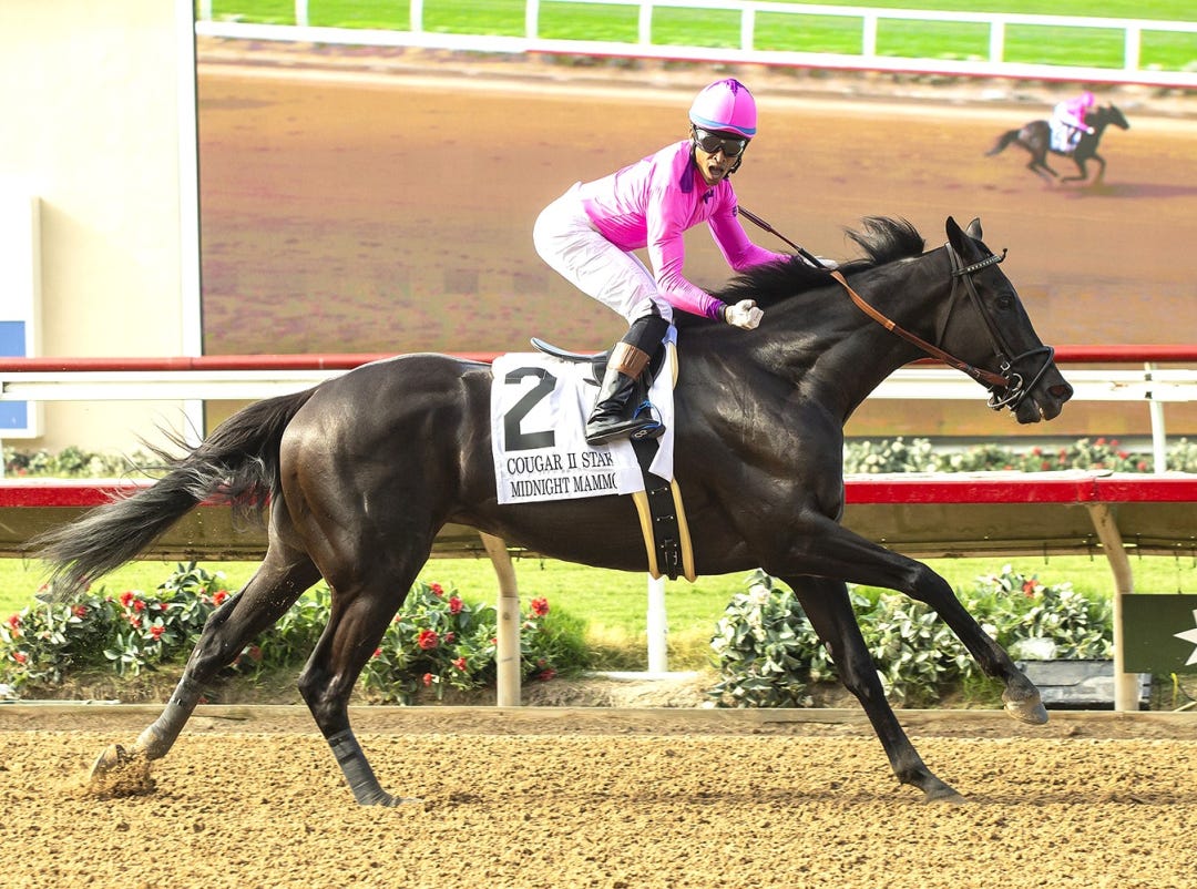 Midnight Mammoth.Armando Ayuso wins Cougar II at DMR July 25 2024